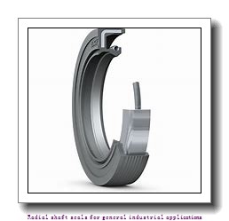 skf 10733 Radial shaft seals for general industrial applications