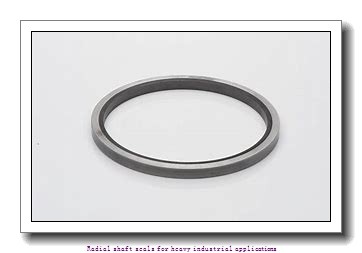 skf 1100230 Radial shaft seals for heavy industrial applications