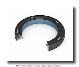 skf 2225561 Radial shaft seals for heavy industrial applications