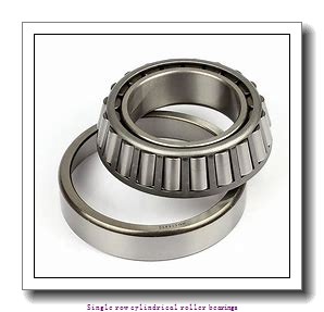 40 mm x 80 mm x 23 mm  NTN NJ2208ET2 Single row cylindrical roller bearings