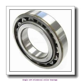 110 mm x 200 mm x 38 mm  NTN NJ222 Single row cylindrical roller bearings
