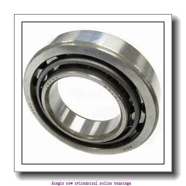 85 mm x 150 mm x 28 mm NTN NJ217ET2 Single row cylindrical roller bearings