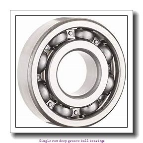 17,000 mm x 35,000 mm x 10,000 mm NTN 6003LU Single row deep groove ball bearings