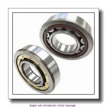 105 mm x 190 mm x 36 mm  NTN NJ221G1C3 Single row cylindrical roller bearings