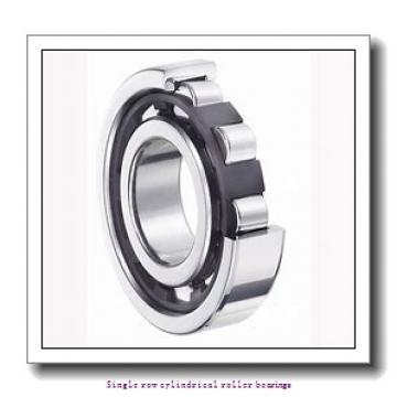 120 mm x 215 mm x 58 mm  NTN NJ2224 Single row cylindrical roller bearings