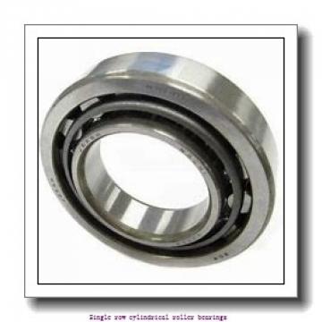 105 mm x 190 mm x 36 mm  NTN NJ221 Single row cylindrical roller bearings