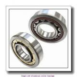 130 mm x 230 mm x 40 mm  NTN NJ226EG1 Single row cylindrical roller bearings